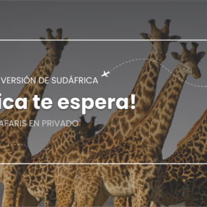 SUDÁFRICA MÁGICA: SAFARIS, VIÑEDOS & LUJO